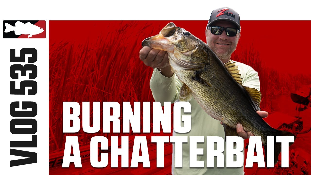 Burning a Chatterbait on Headwaters with Clausen