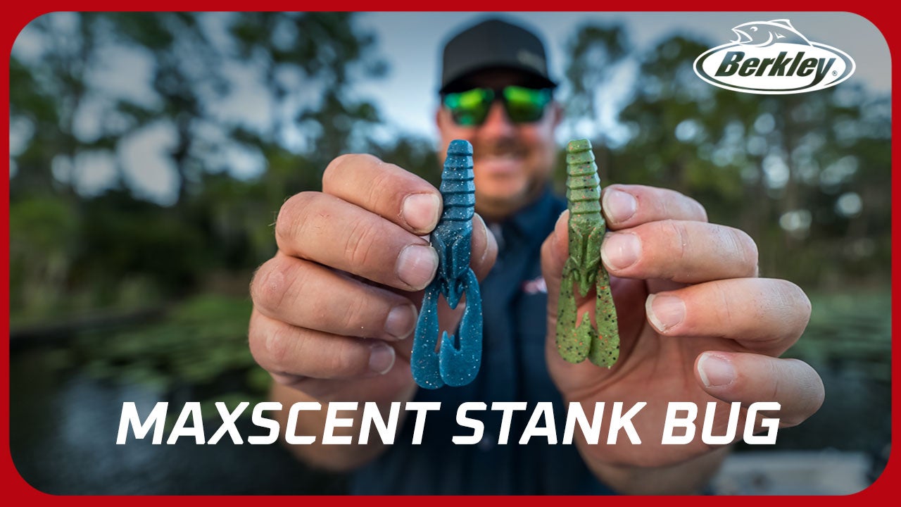 Berkley Maxscent Stank Bug Video with John Cox